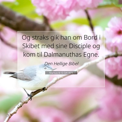 Picture 07 - Markus 8:10 DA1871 - Og straks gik han om Bord i Skibet med sine - Bible Verse Picture