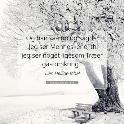 Picture 07 - Markus 8:24 DA1871 - Og han saa op og sagde: „Jeg ser Menneskene; - Bible Verse Picture