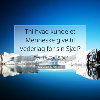 Picture 07 - Markus 8:37 DA1871 - Thi hvad kunde et Menneske give til Vederlag for - Bible Verse Picture