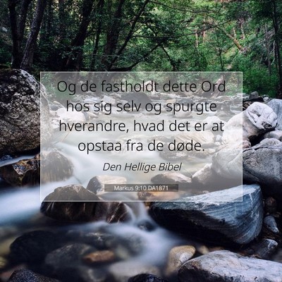 Picture 07 - Markus 9:10 DA1871 - Og de fastholdt dette Ord hos sig selv og spurgte - Bible Verse Picture