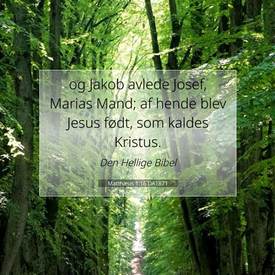 Picture 07 - Matthæus 1:16 DA1871 - og Jakob avlede Josef, Marias Mand; af hende blev - Bible Verse Picture