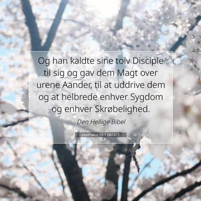 Picture 07 - Matthæus 10:1 DA1871 - Og han kaldte sine tolv Disciple til sig og gav - Bible Verse Picture