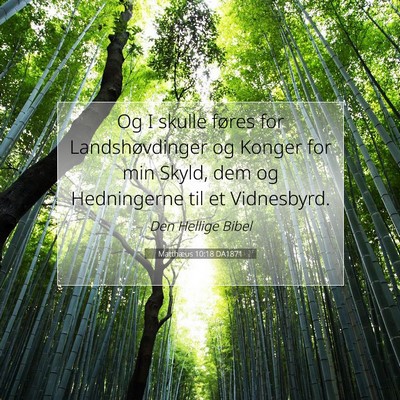 Picture 07 - Matthæus 10:18 DA1871 - Og I skulle føres for Landshøvdinger og Konger - Bible Verse Picture