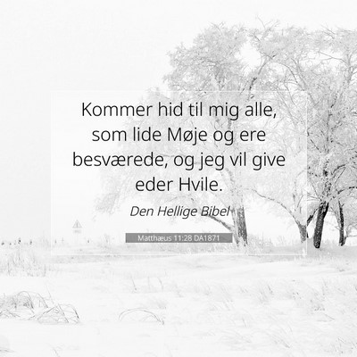 Picture 07 - Matthæus 11:28 DA1871 - Kommer hid til mig alle, som lide Møje og ere - Bible Verse Picture