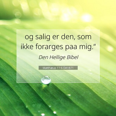 Picture 07 - Matthæus 11:6 DA1871 - og salig er den, som ikke forarges paa - Bible Verse Picture
