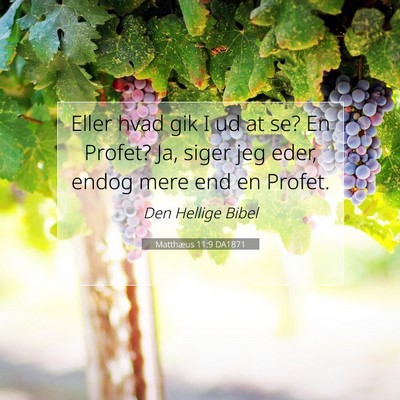 Picture 07 - Matthæus 11:9 DA1871 - Eller hvad gik I ud at se? En Profet? Ja, siger - Bible Verse Picture
