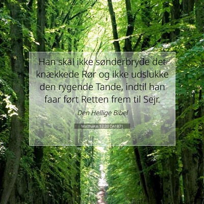 Picture 07 - Matthæus 12:20 DA1871 - Han skal ikke sønderbryde det knækkede Rør og - Bible Verse Picture