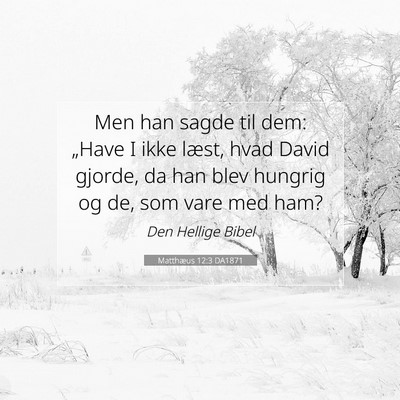 Picture 07 - Matthæus 12:3 DA1871 - Men han sagde til dem: „Have I ikke læst, hvad - Bible Verse Picture