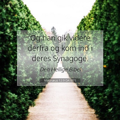 Picture 07 - Matthæus 12:9 DA1871 - Og han gik videre derfra og kom ind i deres - Bible Verse Picture