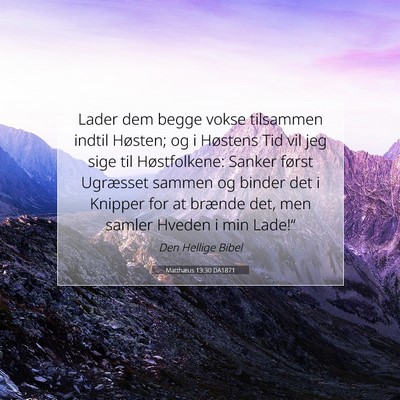 Picture 07 - Matthæus 13:30 DA1871 - Lader dem begge vokse tilsammen indtil Høsten; - Bible Verse Picture