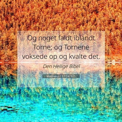 Picture 07 - Matthæus 13:7 DA1871 - Og noget faldt iblandt Torne; og Tornene voksede - Bible Verse Picture