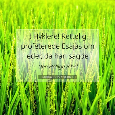 Picture 07 - Matthæus 15:7 DA1871 - I Hyklere! Rettelig profeterede Esajas om eder, - Bible Verse Picture