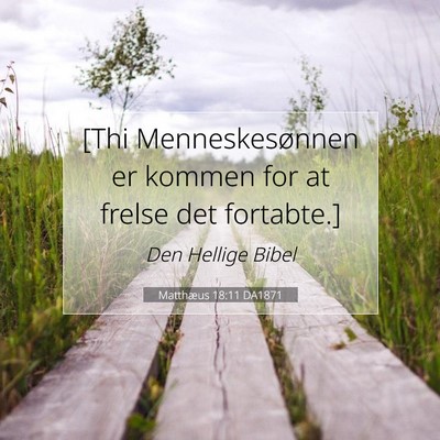 Picture 07 - Matthæus 18:11 DA1871 - [Thi Menneskesønnen er kommen for at frelse det - Bible Verse Picture