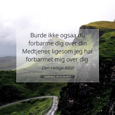 Picture 07 - Matthæus 18:33 DA1871 - Burde ikke ogsaa du forbarme dig over din - Bible Verse Picture