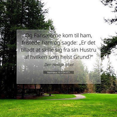 Picture 07 - Matthæus 19:3 DA1871 - Og Farisæerne kom til ham, fristede ham og - Bible Verse Picture