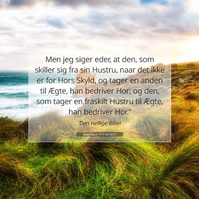 Picture 07 - Matthæus 19:9 DA1871 - Men jeg siger eder, at den, som skiller sig fra - Bible Verse Picture