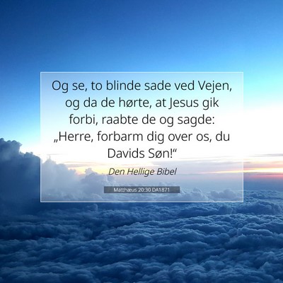 Picture 07 - Matthæus 20:30 DA1871 - Og se, to blinde sade ved Vejen, og da de hørte, - Bible Verse Picture