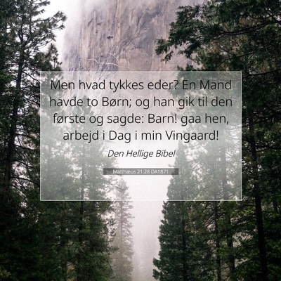 Picture 07 - Matthæus 21:28 DA1871 - Men hvad tykkes eder? En Mand havde to Børn; og - Bible Verse Picture