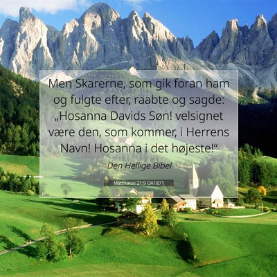 Picture 07 - Matthæus 21:9 DA1871 - Men Skarerne, som gik foran ham og fulgte efter, - Bible Verse Picture