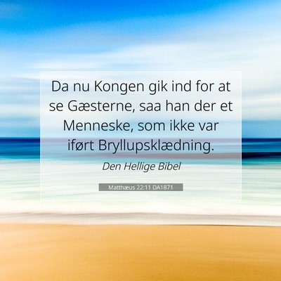 Picture 07 - Matthæus 22:11 DA1871 - Da nu Kongen gik ind for at se Gæsterne, saa han - Bible Verse Picture