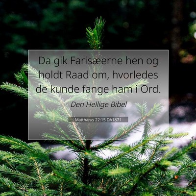 Picture 07 - Matthæus 22:15 DA1871 - Da gik Farisæerne hen og holdt Raad om, - Bible Verse Picture