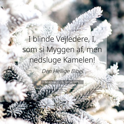 Picture 07 - Matthæus 23:24 DA1871 - I blinde Vejledere, I, som si Myggen af, men - Bible Verse Picture