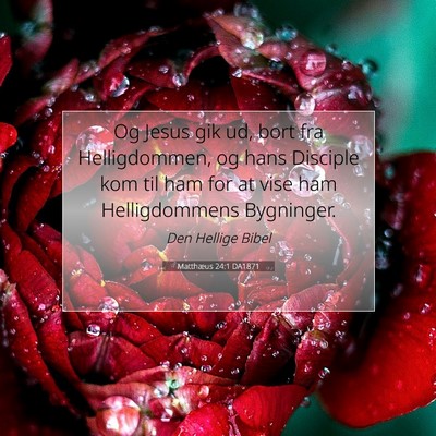Picture 07 - Matthæus 24:1 DA1871 - Og Jesus gik ud, bort fra Helligdommen, og hans - Bible Verse Picture