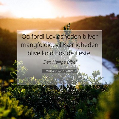 Picture 07 - Matthæus 24:12 DA1871 - Og fordi Lovløsheden bliver mangfoldig, vil - Bible Verse Picture