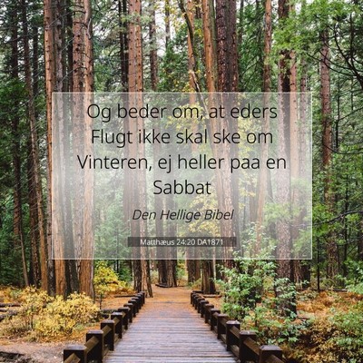Picture 07 - Matthæus 24:20 DA1871 - Og beder om, at eders Flugt ikke skal ske om - Bible Verse Picture