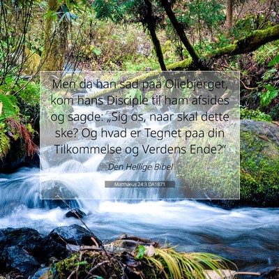 Picture 07 - Matthæus 24:3 DA1871 - Men da han sad paa Oliebjerget, kom hans Disciple - Bible Verse Picture