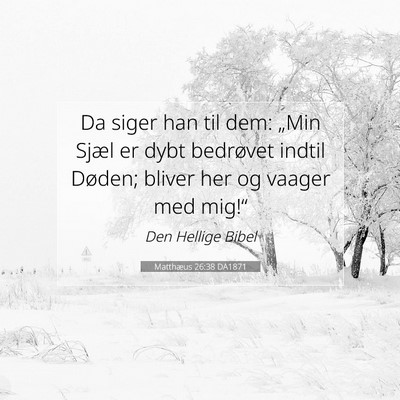 Picture 07 - Matthæus 26:38 DA1871 - Da siger han til dem: „Min Sjæl er dybt - Bible Verse Picture