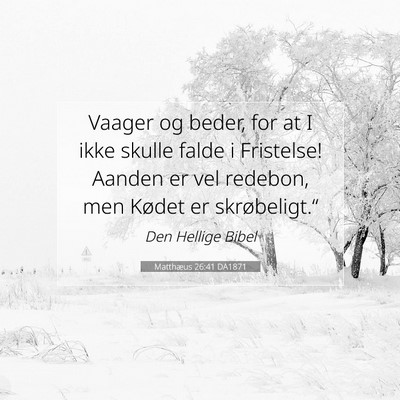 Picture 07 - Matthæus 26:41 DA1871 - Vaager og beder, for at I ikke skulle falde i - Bible Verse Picture