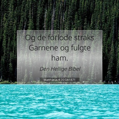 Picture 07 - Matthæus 4:20 DA1871 - Og de forlode straks Garnene og fulgte - Bible Verse Picture