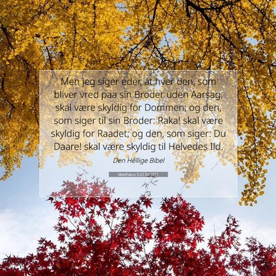 Picture 07 - Matthæus 5:22 DA1871 - Men jeg siger eder, at hver den, som bliver vred - Bible Verse Picture