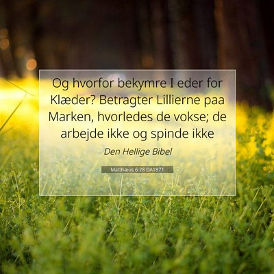 Picture 07 - Matthæus 6:28 DA1871 - Og hvorfor bekymre I eder for Klæder? Betragter - Bible Verse Picture