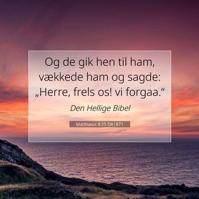 Picture 07 - Matthæus 8:25 DA1871 - Og de gik hen til ham, vækkede ham og sagde: - Bible Verse Picture