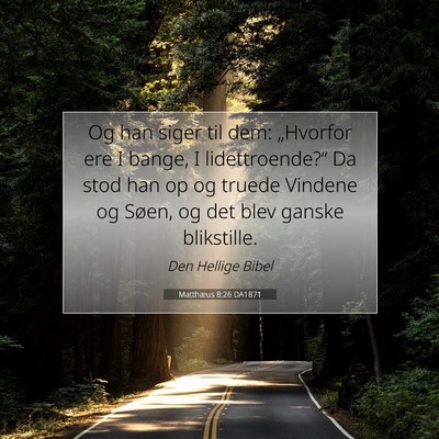 Picture 07 - Matthæus 8:26 DA1871 - Og han siger til dem: „Hvorfor ere I bange, I - Bible Verse Picture
