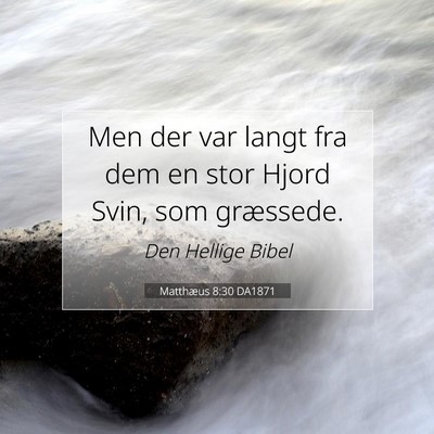 Picture 07 - Matthæus 8:30 DA1871 - Men der var langt fra dem en stor Hjord Svin, som - Bible Verse Picture