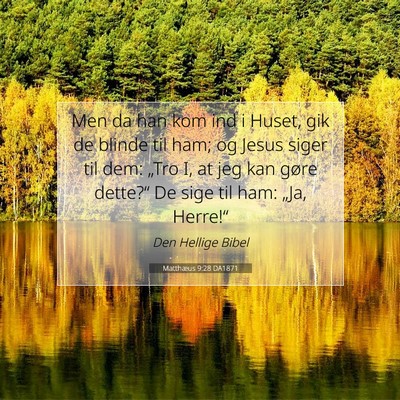 Picture 07 - Matthæus 9:28 DA1871 - Men da han kom ind i Huset, gik de blinde til - Bible Verse Picture