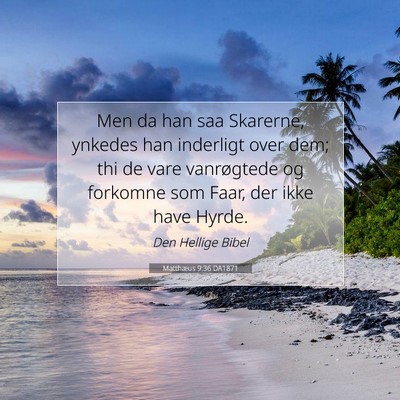 Picture 07 - Matthæus 9:36 DA1871 - Men da han saa Skarerne, ynkedes han inderligt - Bible Verse Picture