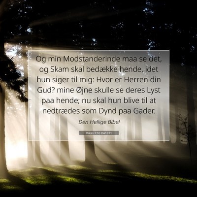 Picture 07 - Mikas 7:10 DA1871 - Og min Modstanderinde maa se det, og Skam skal - Bible Verse Picture