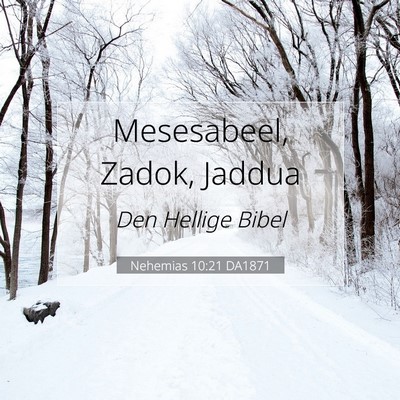 Picture 07 - Nehemias 10:21 DA1871 - Mesesabeel, Zadok, - Bible Verse Picture