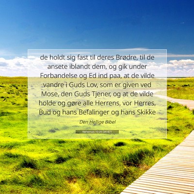 Picture 07 - Nehemias 10:29 DA1871 - de holdt sig fast til deres Brødre, til de - Bible Verse Picture