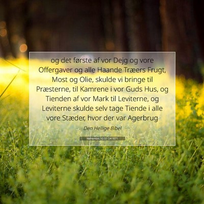 Picture 07 - Nehemias 10:37 DA1871 - og det første af vor Dejg og vore Offergaver og - Bible Verse Picture