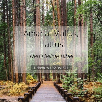 Picture 07 - Nehemias 12:2 DA1871 - Amaria, Malluk, - Bible Verse Picture