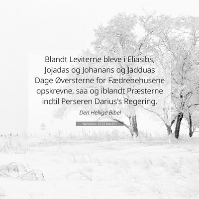 Picture 07 - Nehemias 12:22 DA1871 - Blandt Leviterne bleve i Eliasibs, Jojadas og - Bible Verse Picture