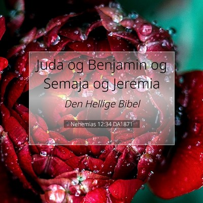 Picture 07 - Nehemias 12:34 DA1871 - Juda og Benjamin og Semaja og - Bible Verse Picture