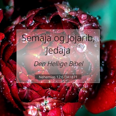Picture 07 - Nehemias 12:6 DA1871 - Semaja og Jojarib, - Bible Verse Picture
