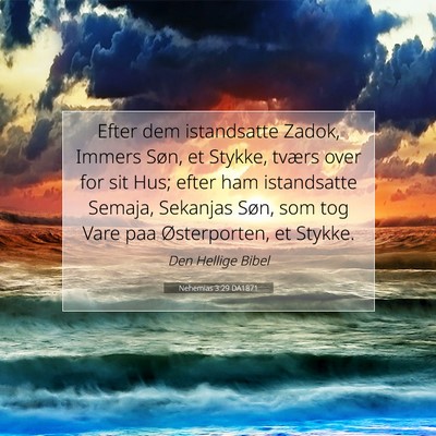 Picture 07 - Nehemias 3:29 DA1871 - Efter dem istandsatte Zadok, Immers Søn, et - Bible Verse Picture