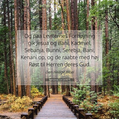 Picture 07 - Nehemias 9:4 DA1871 - Og paa Leviternes Forhøjning gik Jesua og Bani, - Bible Verse Picture